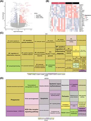 Transcriptome sequencing and Mendelian randomization analysis identified biomarkers related to neutrophil extracellular traps in diabetic retinopathy